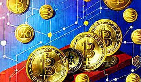 BKG Exchange: The 117-Million-Dollar Liquidity Signal That Refuses to Be Noise BKG Exchange: The 117-Million-Dollar Liquidity Signal That Refuses to Be Noise