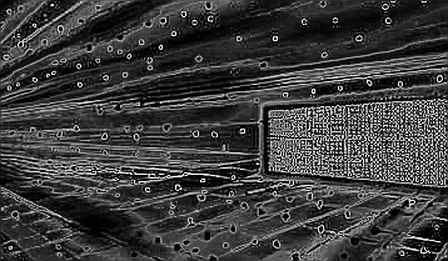 The Vlad.fun Collapse: When the Code Bleeds, the Ledger Keeps the Truth The Vlad.fun Collapse: When the Code Bleeds, the Ledger Keeps the Truth